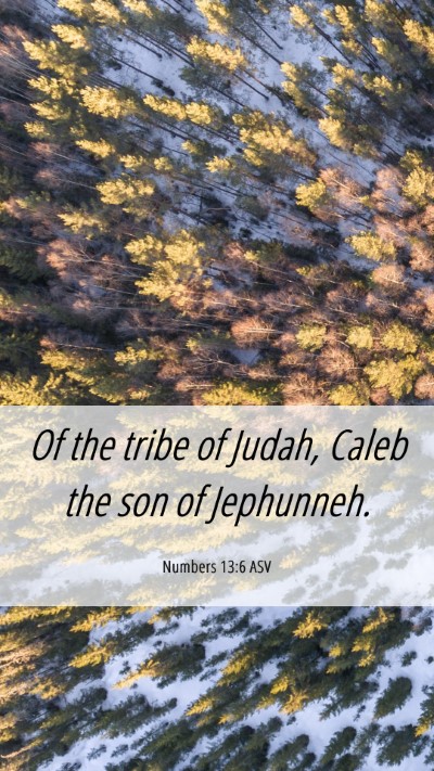 Picture 06 - Numbers 13:6 ASV Mobile Phone Wallpaper - Of the tribe of Judah, Caleb the son of - Mobile Bible Verse Wallpaper