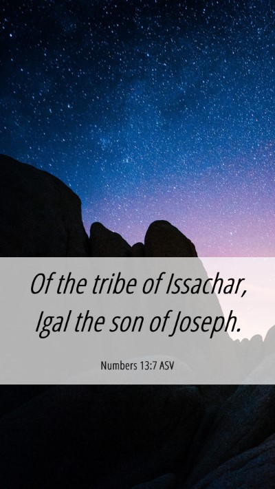 Picture 06 - Numbers 13:7 ASV Mobile Phone Wallpaper - Of the tribe of Issachar, Igal the son of - Mobile Bible Verse Wallpaper