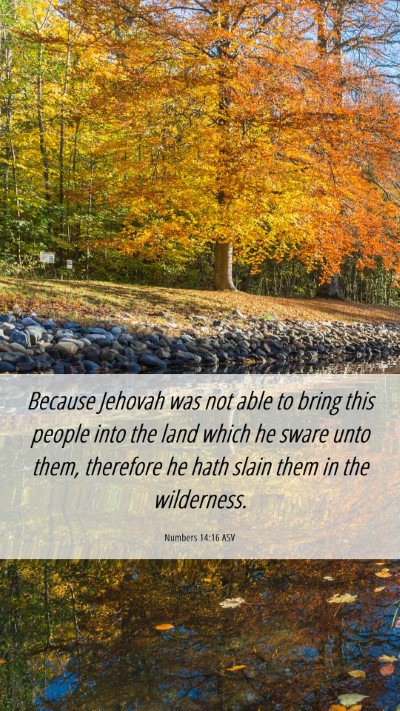 Picture 06 - Numbers 14:16 ASV Mobile Phone Wallpaper - Because Jehovah was not able to bring this people - Mobile Bible Verse Wallpaper