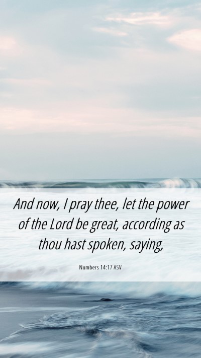 Picture 06 - Numbers 14:17 ASV Mobile Phone Wallpaper - And now, I pray thee, let the power of the Lord - Mobile Bible Verse Wallpaper