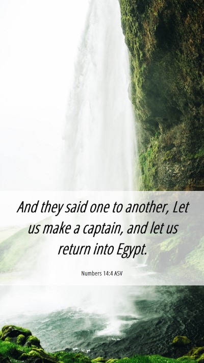 Picture 06 - Numbers 14:4 ASV Mobile Phone Wallpaper - And they said one to another, Let us make a - Mobile Bible Verse Wallpaper