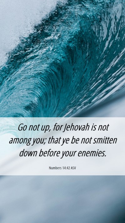 Picture 06 - Numbers 14:42 ASV Mobile Phone Wallpaper - Go not up, for Jehovah is not among you; that ye - Mobile Bible Verse Wallpaper