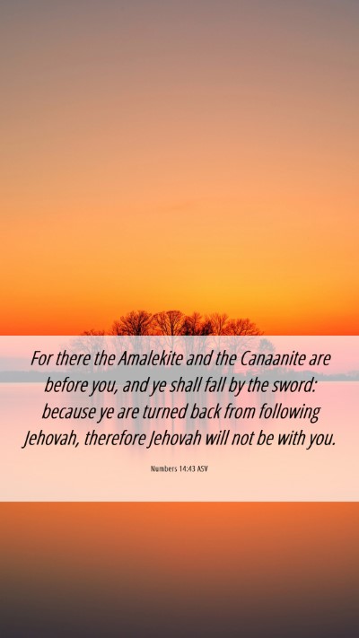 Picture 06 - Numbers 14:43 ASV Mobile Phone Wallpaper - For there the Amalekite and the Canaanite are - Mobile Bible Verse Wallpaper