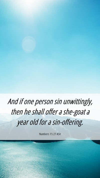 Picture 06 - Numbers 15:27 ASV Mobile Phone Wallpaper - And if one person sin unwittingly, then he shall - Mobile Bible Verse Wallpaper