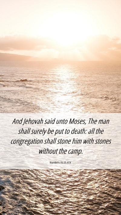 Picture 06 - Numbers 15:35 ASV Mobile Phone Wallpaper - And Jehovah said unto Moses, The man shall surely - Mobile Bible Verse Wallpaper