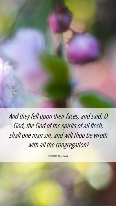 Picture 06 - Numbers 16:22 ASV Mobile Phone Wallpaper - And they fell upon their faces, and said, O God, - Mobile Bible Verse Wallpaper