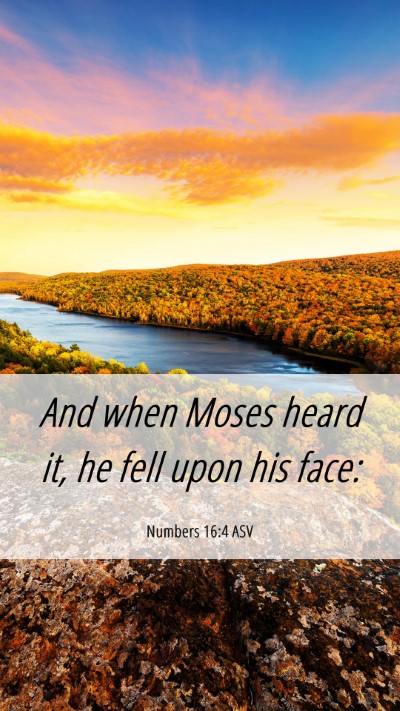 Picture 06 - Numbers 16:4 ASV Mobile Phone Wallpaper - And when Moses heard it, he fell upon his - Mobile Bible Verse Wallpaper