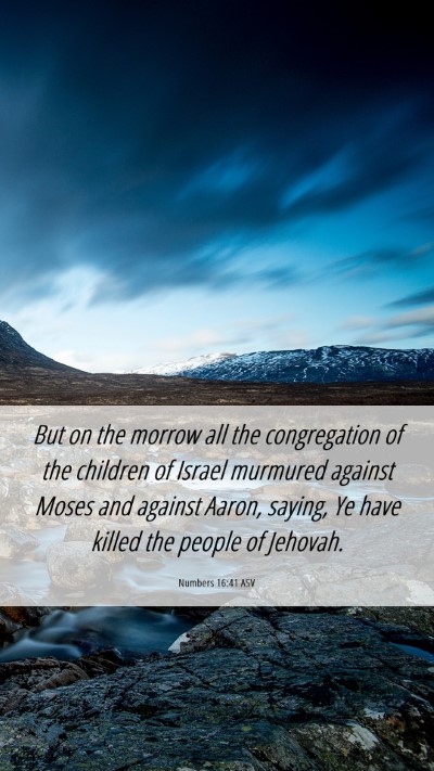 Picture 06 - Numbers 16:41 ASV Mobile Phone Wallpaper - But on the morrow all the congregation of the - Mobile Bible Verse Wallpaper