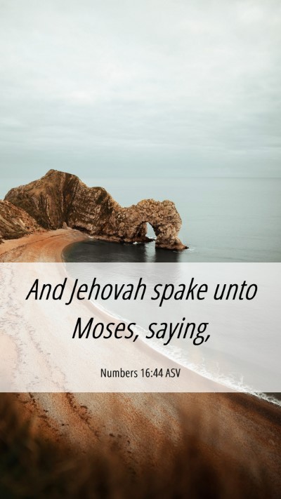 Picture 06 - Numbers 16:44 ASV Mobile Phone Wallpaper - And Jehovah spake unto Moses, - Mobile Bible Verse Wallpaper