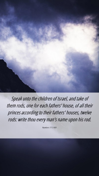 Picture 06 - Numbers 17:2 ASV Mobile Phone Wallpaper - Speak unto the children of Israel, and take of - Mobile Bible Verse Wallpaper
