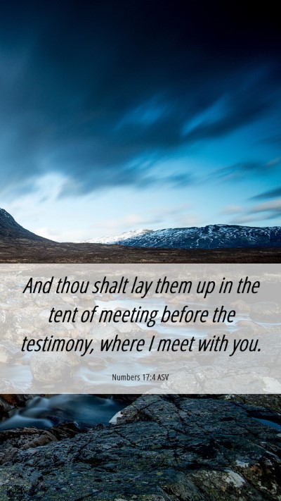 Picture 06 - Numbers 17:4 ASV Mobile Phone Wallpaper - And thou shalt lay them up in the tent of meeting - Mobile Bible Verse Wallpaper
