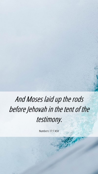 Picture 06 - Numbers 17:7 ASV Mobile Phone Wallpaper - And Moses laid up the rods before Jehovah in the - Mobile Bible Verse Wallpaper