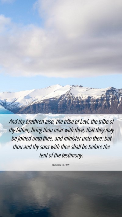 Picture 06 - Numbers 18:2 ASV Mobile Phone Wallpaper - And thy brethren also, the tribe of Levi, the - Mobile Bible Verse Wallpaper