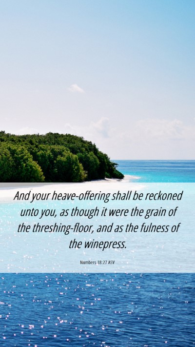 Picture 06 - Numbers 18:27 ASV Mobile Phone Wallpaper - And your heave-offering shall be reckoned unto - Mobile Bible Verse Wallpaper