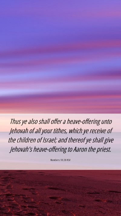 Picture 06 - Numbers 18:28 ASV Mobile Phone Wallpaper - Thus ye also shall offer a heave-offering unto - Mobile Bible Verse Wallpaper