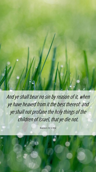 Picture 06 - Numbers 18:32 ASV Mobile Phone Wallpaper - And ye shall bear no sin by reason of it, when ye - Mobile Bible Verse Wallpaper