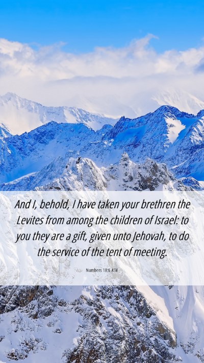 Picture 06 - Numbers 18:6 ASV Mobile Phone Wallpaper - And I, behold, I have taken your brethren the - Mobile Bible Verse Wallpaper