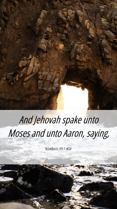 Picture 06 - Numbers 19:1 ASV Mobile Phone Wallpaper - And Jehovah spake unto Moses and unto Aaron, - Mobile Bible Verse Wallpaper