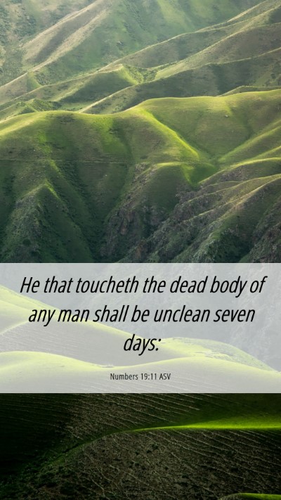 Picture 06 - Numbers 19:11 ASV Mobile Phone Wallpaper - He that toucheth the dead body of any man shall - Mobile Bible Verse Wallpaper