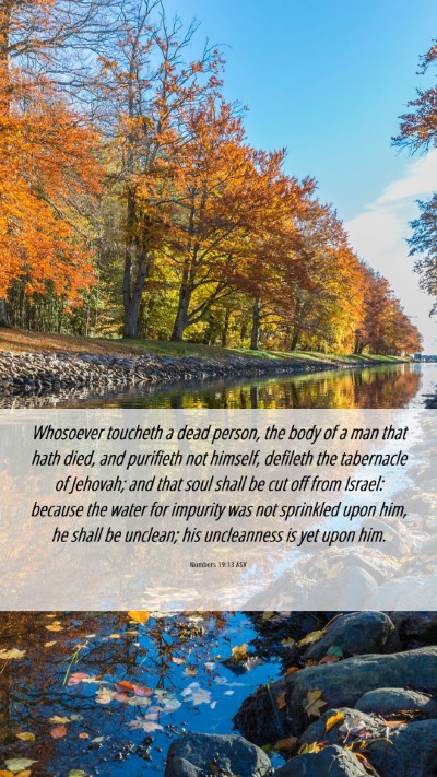 Picture 06 - Numbers 19:13 ASV Mobile Phone Wallpaper - Whosoever toucheth a dead person, the body of a - Mobile Bible Verse Wallpaper