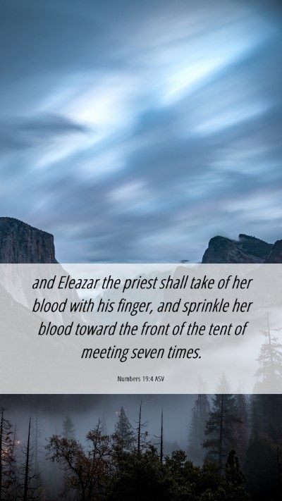 Picture 06 - Numbers 19:4 ASV Mobile Phone Wallpaper - and Eleazar the priest shall take of her blood - Mobile Bible Verse Wallpaper