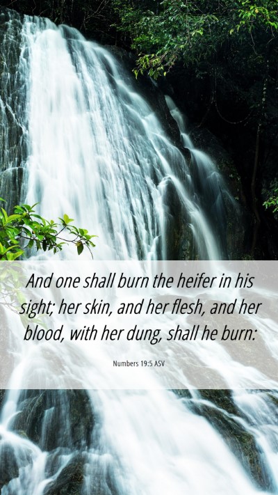 Picture 06 - Numbers 19:5 ASV Mobile Phone Wallpaper - And one shall burn the heifer in his sight; her - Mobile Bible Verse Wallpaper