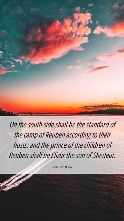 Picture 06 - Numbers 2:10 ASV Mobile Phone Wallpaper - On the south side shall be the standard of the - Mobile Bible Verse Wallpaper