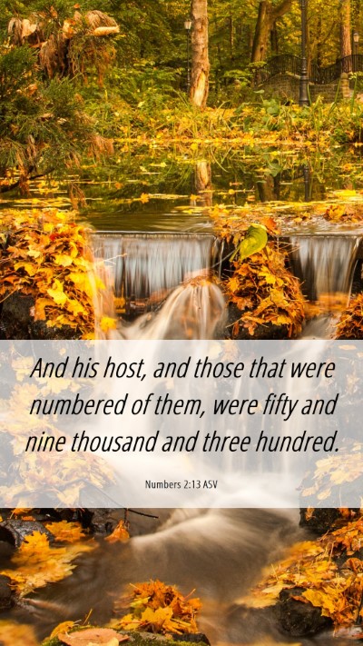 Picture 06 - Numbers 2:13 ASV Mobile Phone Wallpaper - And his host, and those that were numbered of - Mobile Bible Verse Wallpaper