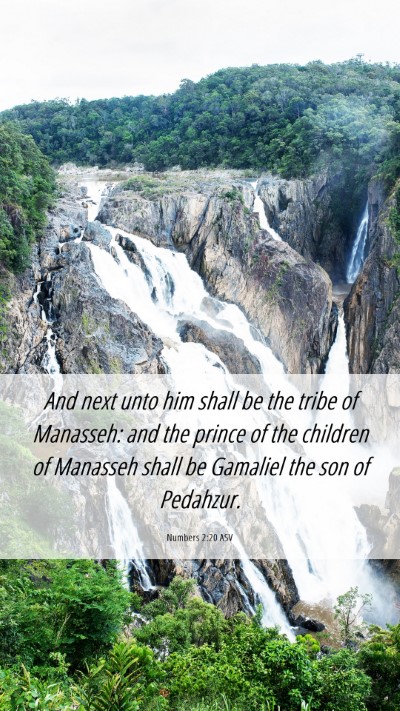 Picture 06 - Numbers 2:20 ASV Mobile Phone Wallpaper - And next unto him shall be the tribe of Manasseh: - Mobile Bible Verse Wallpaper
