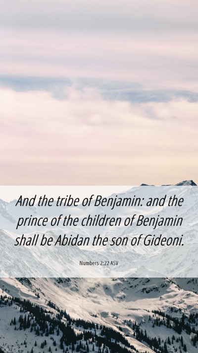 Picture 06 - Numbers 2:22 ASV Mobile Phone Wallpaper - And the tribe of Benjamin: and the prince of the - Mobile Bible Verse Wallpaper