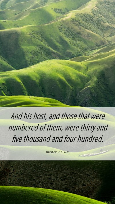 Picture 06 - Numbers 2:23 ASV Mobile Phone Wallpaper - And his host, and those that were numbered of - Mobile Bible Verse Wallpaper