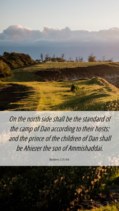 Picture 06 - Numbers 2:25 ASV Mobile Phone Wallpaper - On the north side shall be the standard of the - Mobile Bible Verse Wallpaper