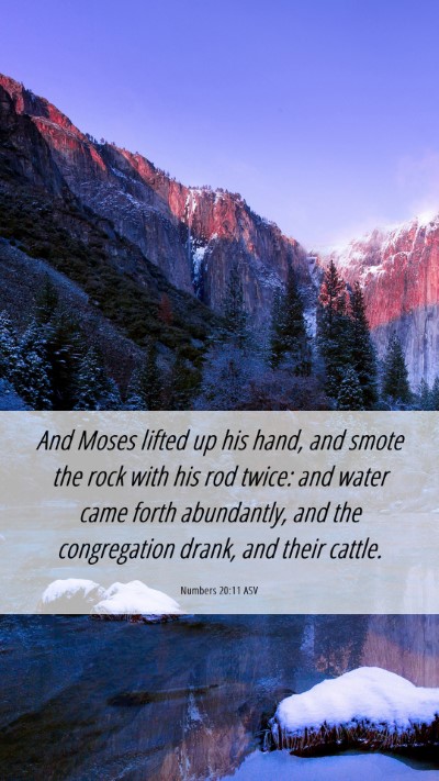 Picture 06 - Numbers 20:11 ASV Mobile Phone Wallpaper - And Moses lifted up his hand, and smote the rock - Mobile Bible Verse Wallpaper