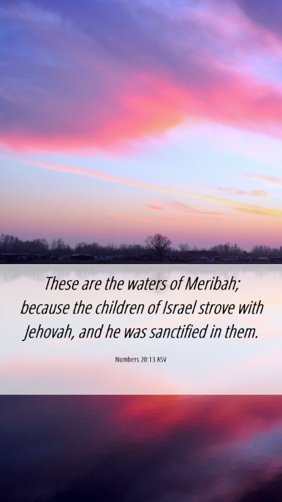 Picture 06 - Numbers 20:13 ASV Mobile Phone Wallpaper - These are the waters of Meribah; because the - Mobile Bible Verse Wallpaper