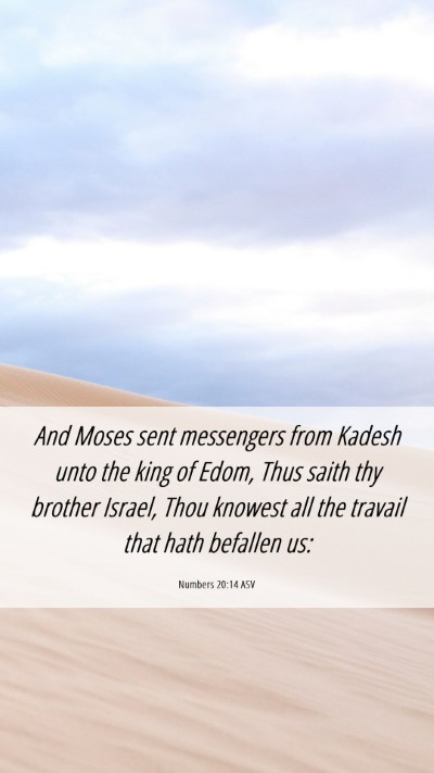 Picture 06 - Numbers 20:14 ASV Mobile Phone Wallpaper - And Moses sent messengers from Kadesh unto the - Mobile Bible Verse Wallpaper