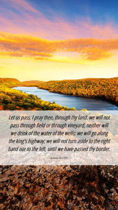Picture 06 - Numbers 20:17 ASV Mobile Phone Wallpaper - Let us pass, I pray thee, through thy land: we - Mobile Bible Verse Wallpaper
