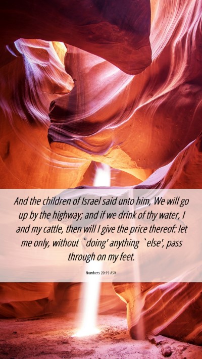 Picture 06 - Numbers 20:19 ASV Mobile Phone Wallpaper - And the children of Israel said unto him, We will - Mobile Bible Verse Wallpaper
