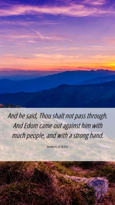 Picture 06 - Numbers 20:20 ASV Mobile Phone Wallpaper - And he said, Thou shalt not pass through. And - Mobile Bible Verse Wallpaper