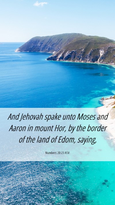 Picture 06 - Numbers 20:23 ASV Mobile Phone Wallpaper - And Jehovah spake unto Moses and Aaron in mount - Mobile Bible Verse Wallpaper