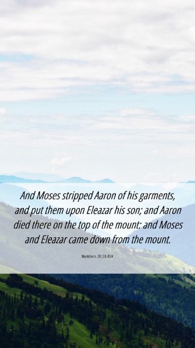 Picture 06 - Numbers 20:28 ASV Mobile Phone Wallpaper - And Moses stripped Aaron of his garments, and put - Mobile Bible Verse Wallpaper