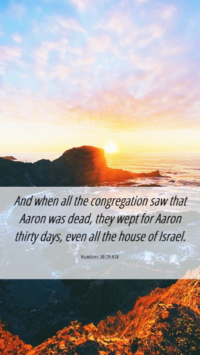 Picture 06 - Numbers 20:29 ASV Mobile Phone Wallpaper - And when all the congregation saw that Aaron was - Mobile Bible Verse Wallpaper