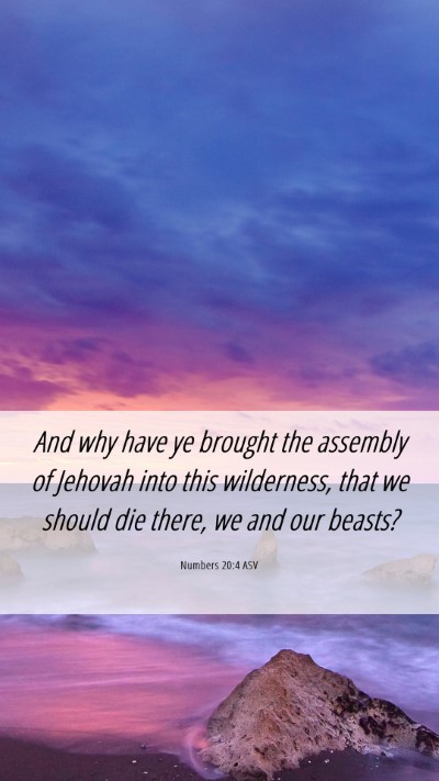 Picture 06 - Numbers 20:4 ASV Mobile Phone Wallpaper - And why have ye brought the assembly of Jehovah - Mobile Bible Verse Wallpaper