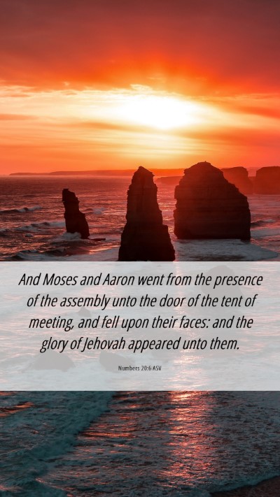 Picture 06 - Numbers 20:6 ASV Mobile Phone Wallpaper - And Moses and Aaron went from the presence of the - Mobile Bible Verse Wallpaper
