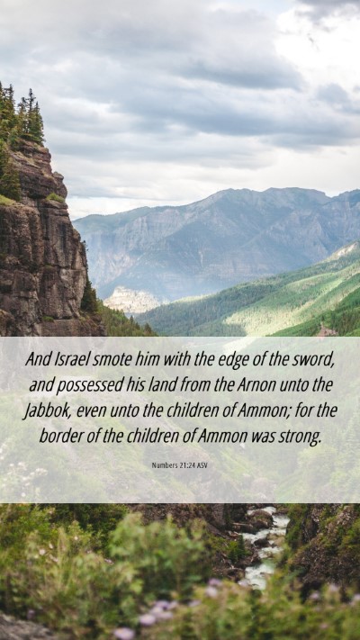 Picture 06 - Numbers 21:24 ASV Mobile Phone Wallpaper - And Israel smote him with the edge of the sword, - Mobile Bible Verse Wallpaper