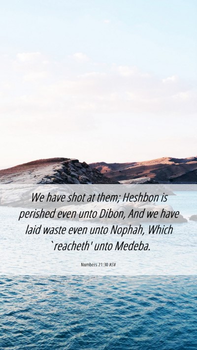 Picture 06 - Numbers 21:30 ASV Mobile Phone Wallpaper - We have shot at them; Heshbon is perished even - Mobile Bible Verse Wallpaper