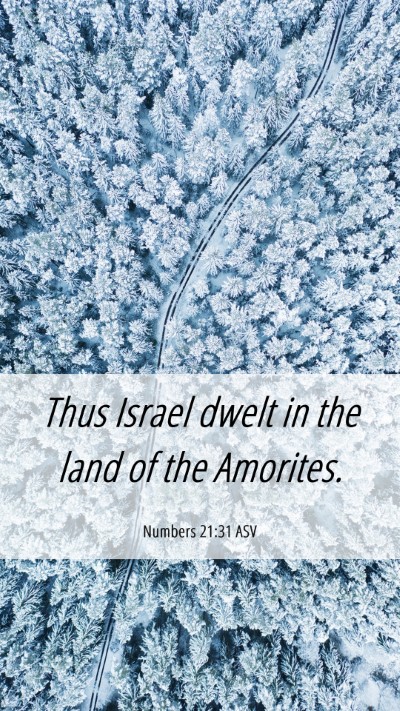 Picture 06 - Numbers 21:31 ASV Mobile Phone Wallpaper - Thus Israel dwelt in the land of the - Mobile Bible Verse Wallpaper
