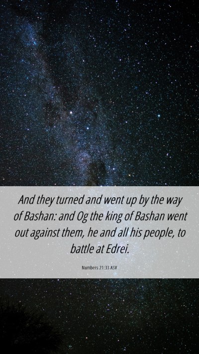 Picture 06 - Numbers 21:33 ASV Mobile Phone Wallpaper - And they turned and went up by the way of Bashan: - Mobile Bible Verse Wallpaper