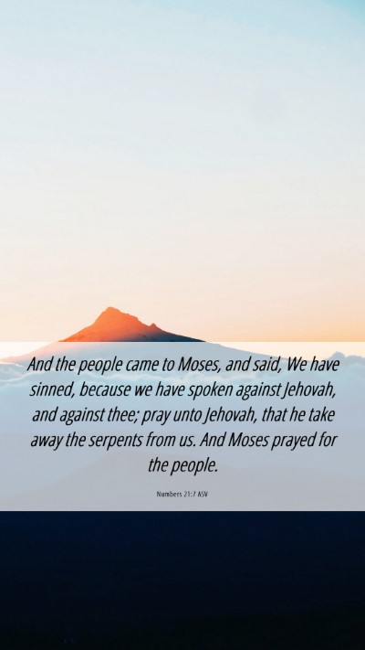 Picture 06 - Numbers 21:7 ASV Mobile Phone Wallpaper - And the people came to Moses, and said, We have - Mobile Bible Verse Wallpaper