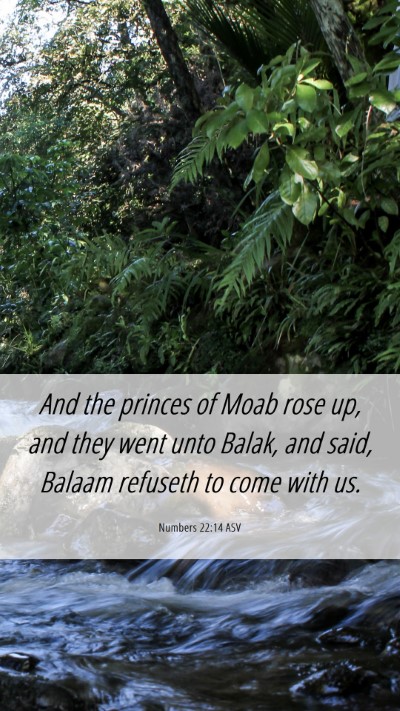 Picture 06 - Numbers 22:14 ASV Mobile Phone Wallpaper - And the princes of Moab rose up, and they went - Mobile Bible Verse Wallpaper