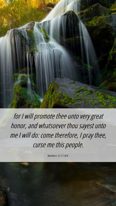 Picture 06 - Numbers 22:17 ASV Mobile Phone Wallpaper - for I will promote thee unto very great honor, - Mobile Bible Verse Wallpaper